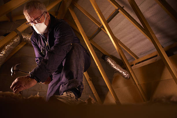 Best Specialty Insulation in Tompkinsville, KY